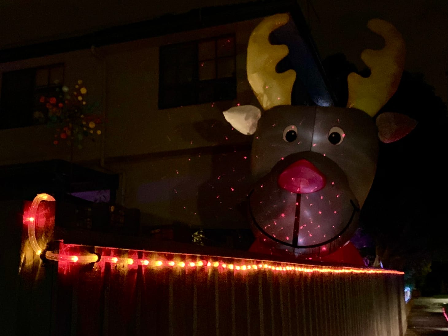 A frankly massive inflatable reindeer towering over a backyard fence. It’s staring right at you with a blank smile. 