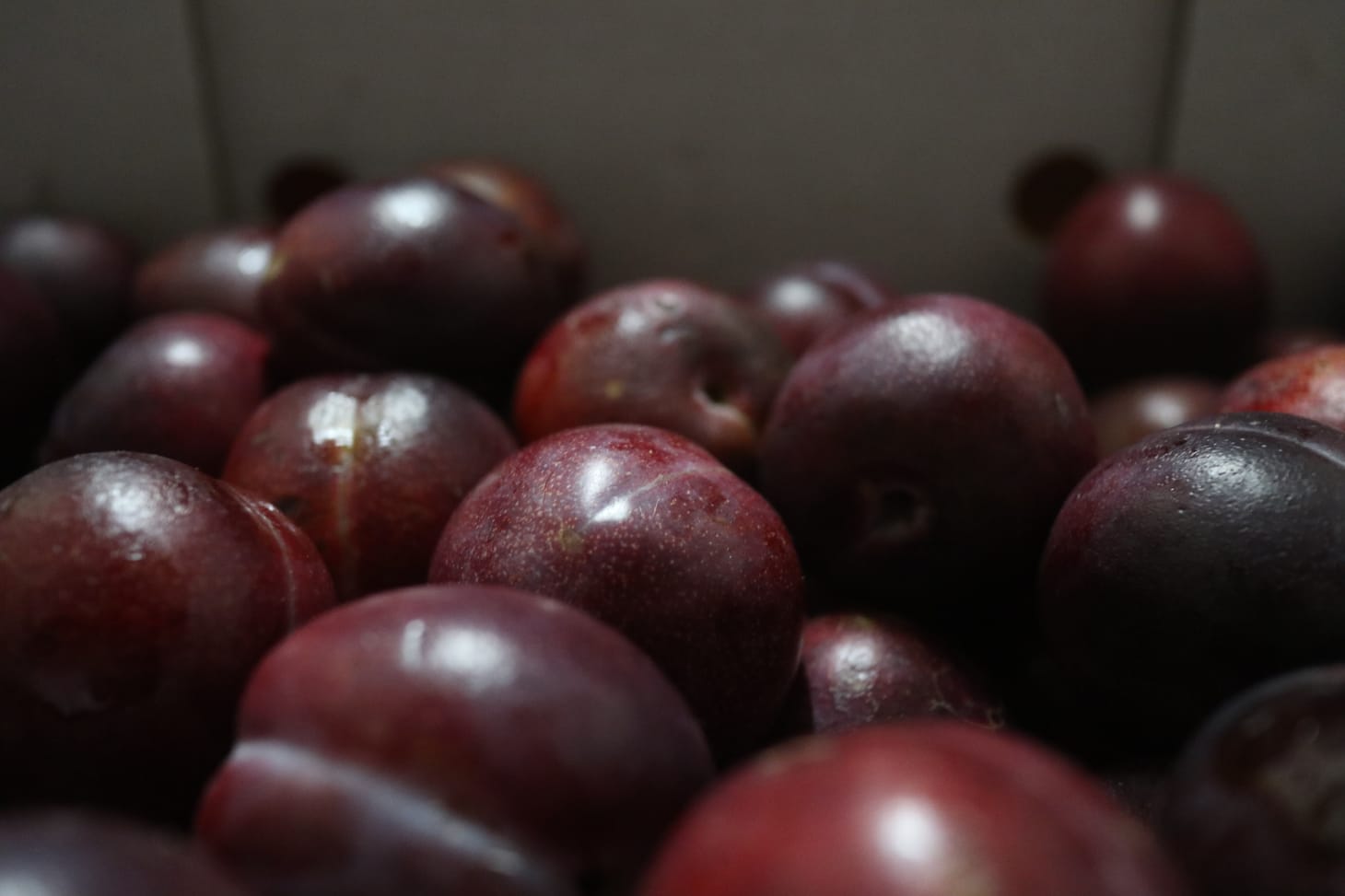 A close up of red plums in a box.